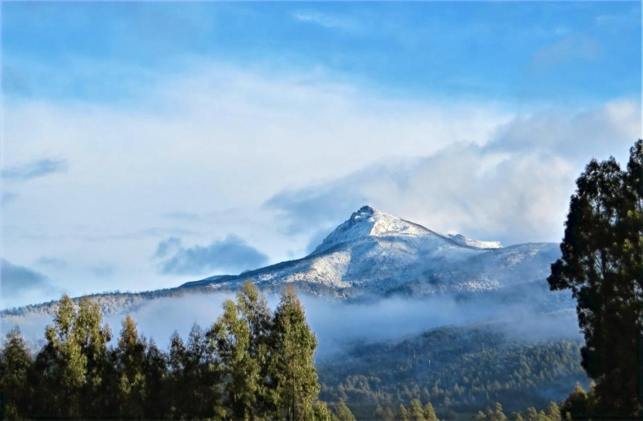 Maydena Mountain Cabins Bagian luar foto