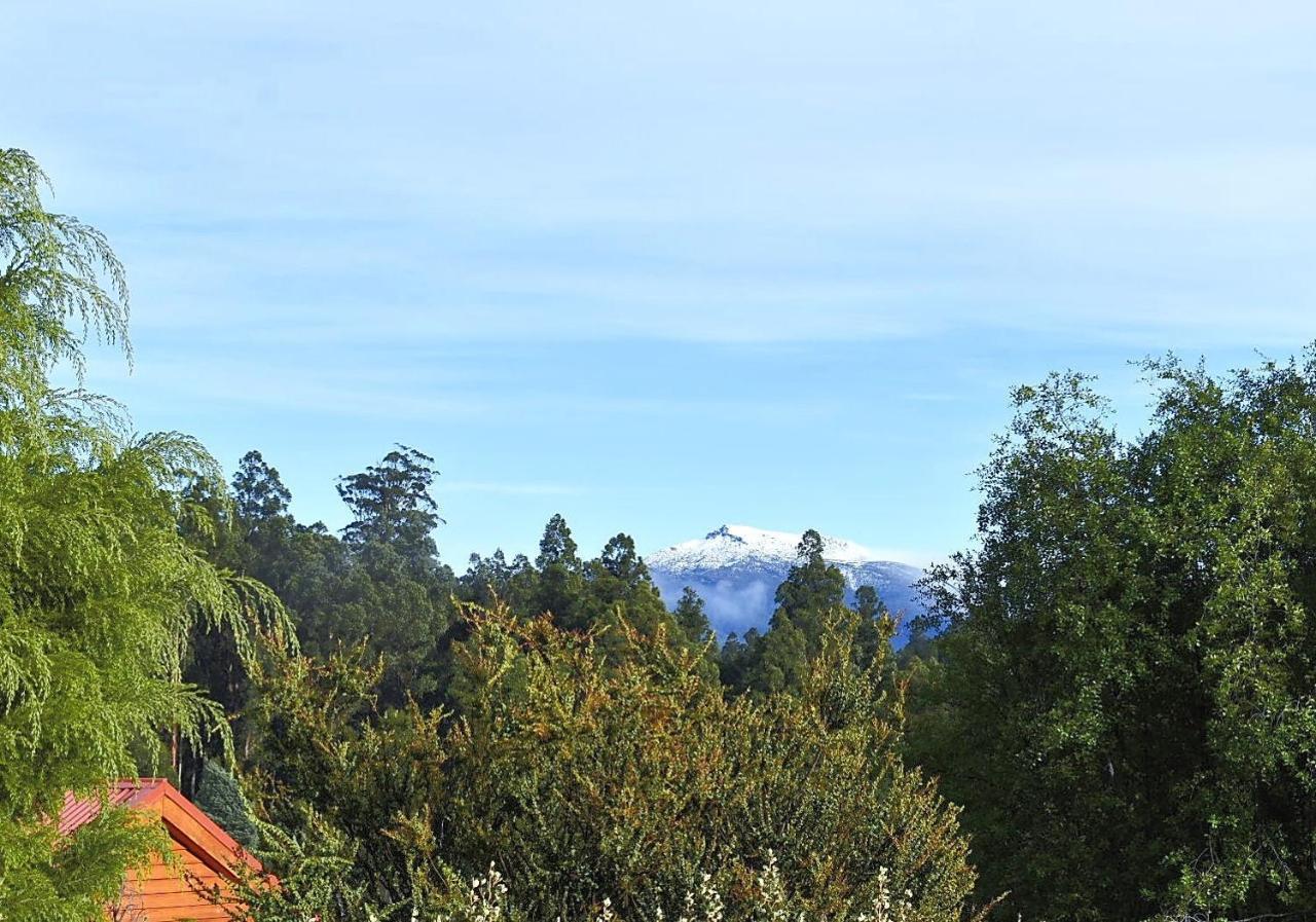 Maydena Mountain Cabins Bagian luar foto