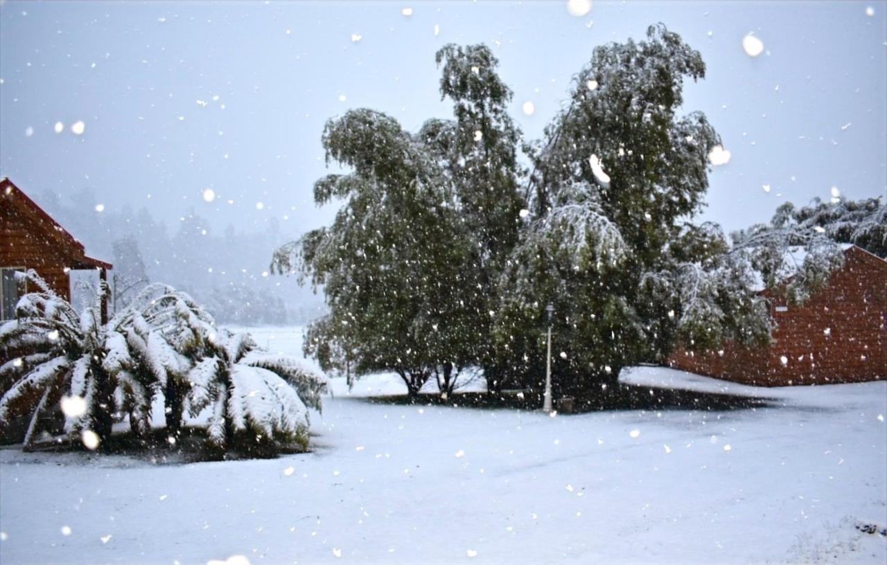 Maydena Mountain Cabins Bagian luar foto