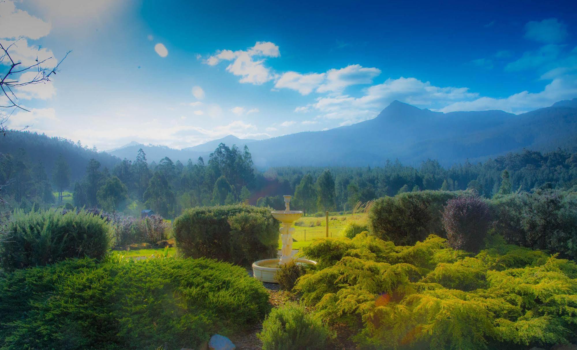 Maydena Mountain Cabins Bagian luar foto