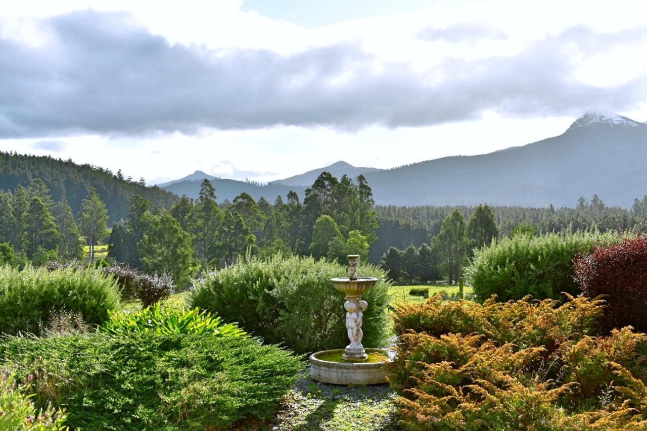 Maydena Mountain Cabins Bagian luar foto