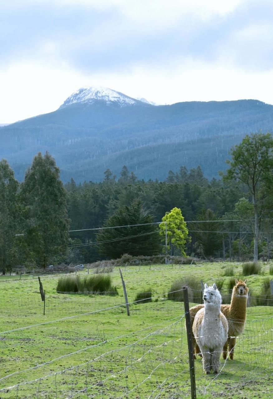 Maydena Mountain Cabins Bagian luar foto
