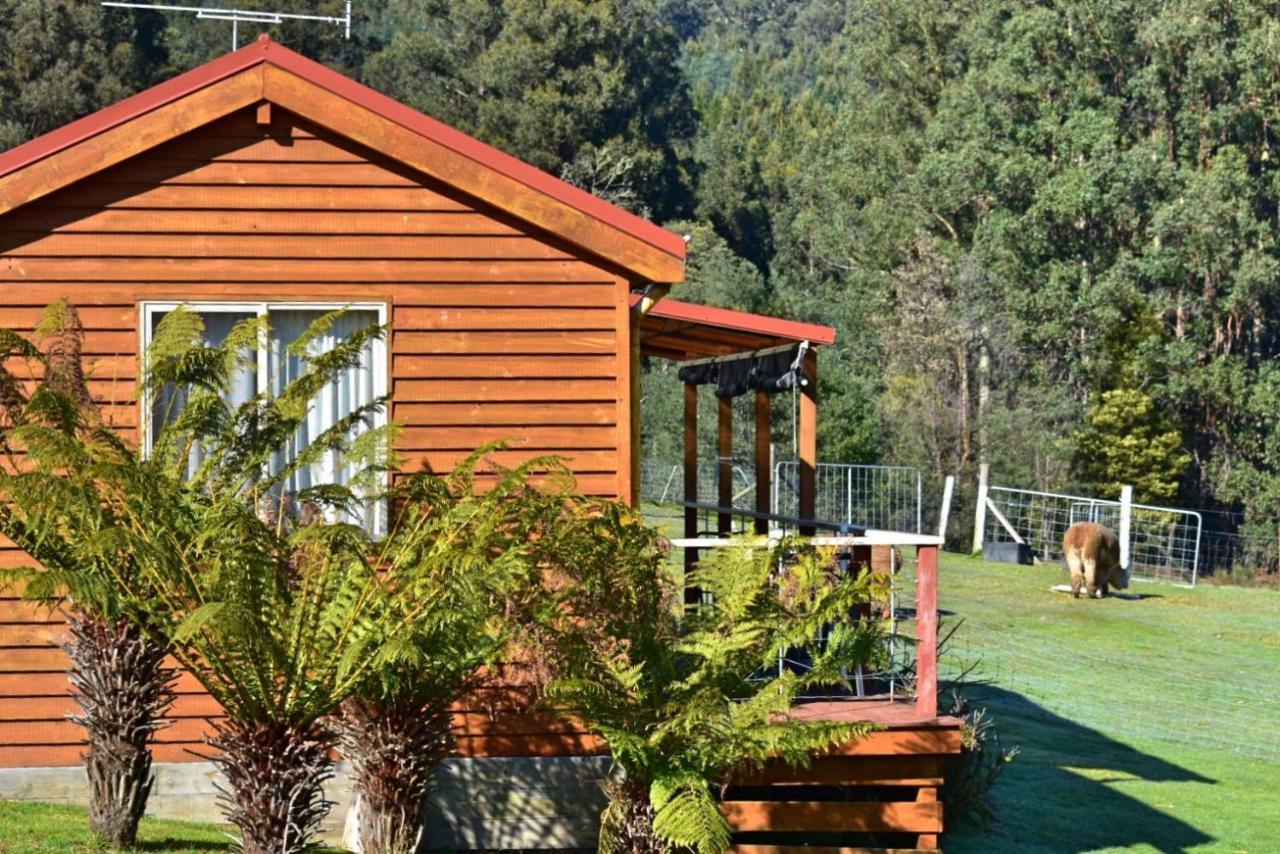 Maydena Mountain Cabins Bagian luar foto