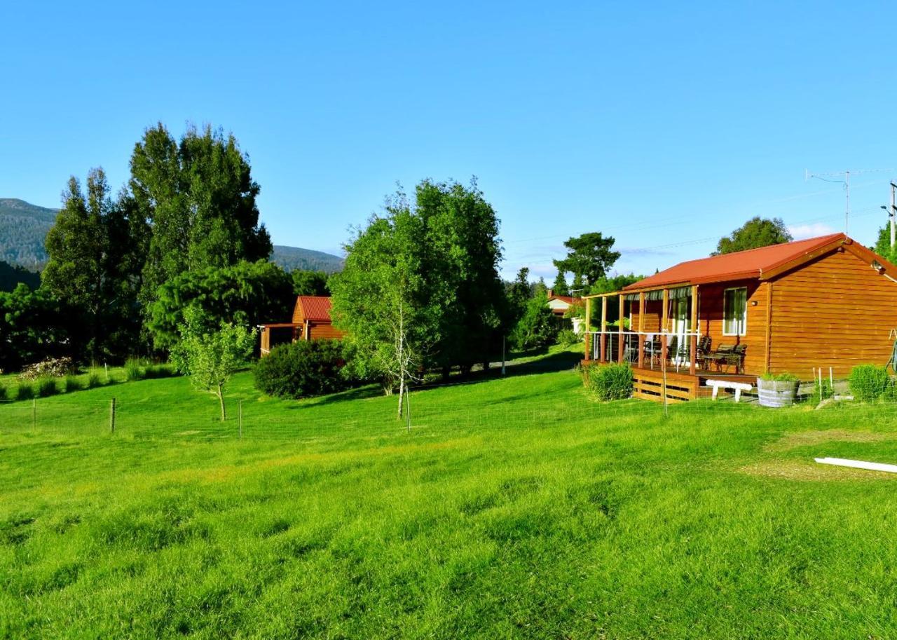 Maydena Mountain Cabins Bagian luar foto
