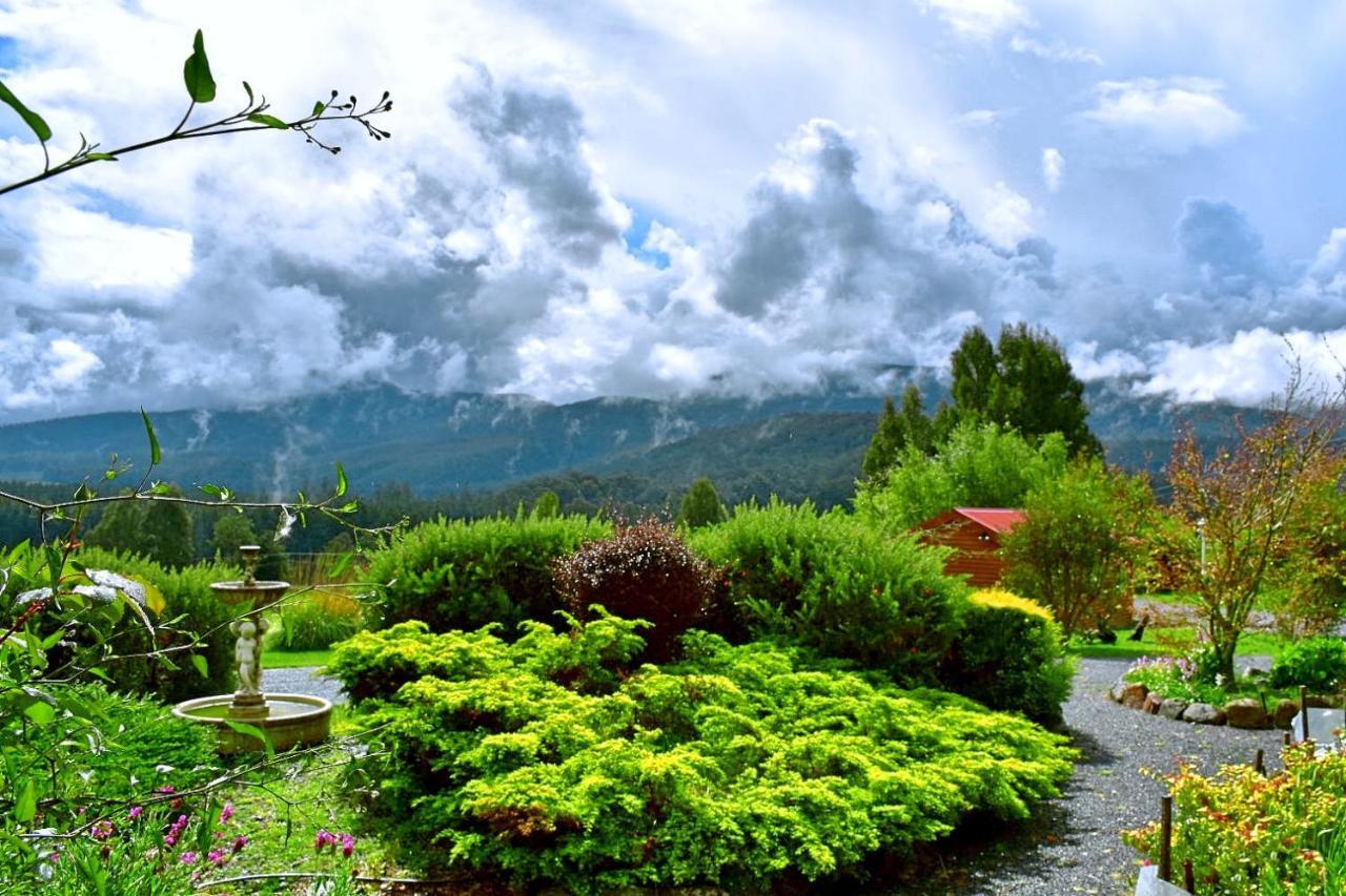 Maydena Mountain Cabins Bagian luar foto