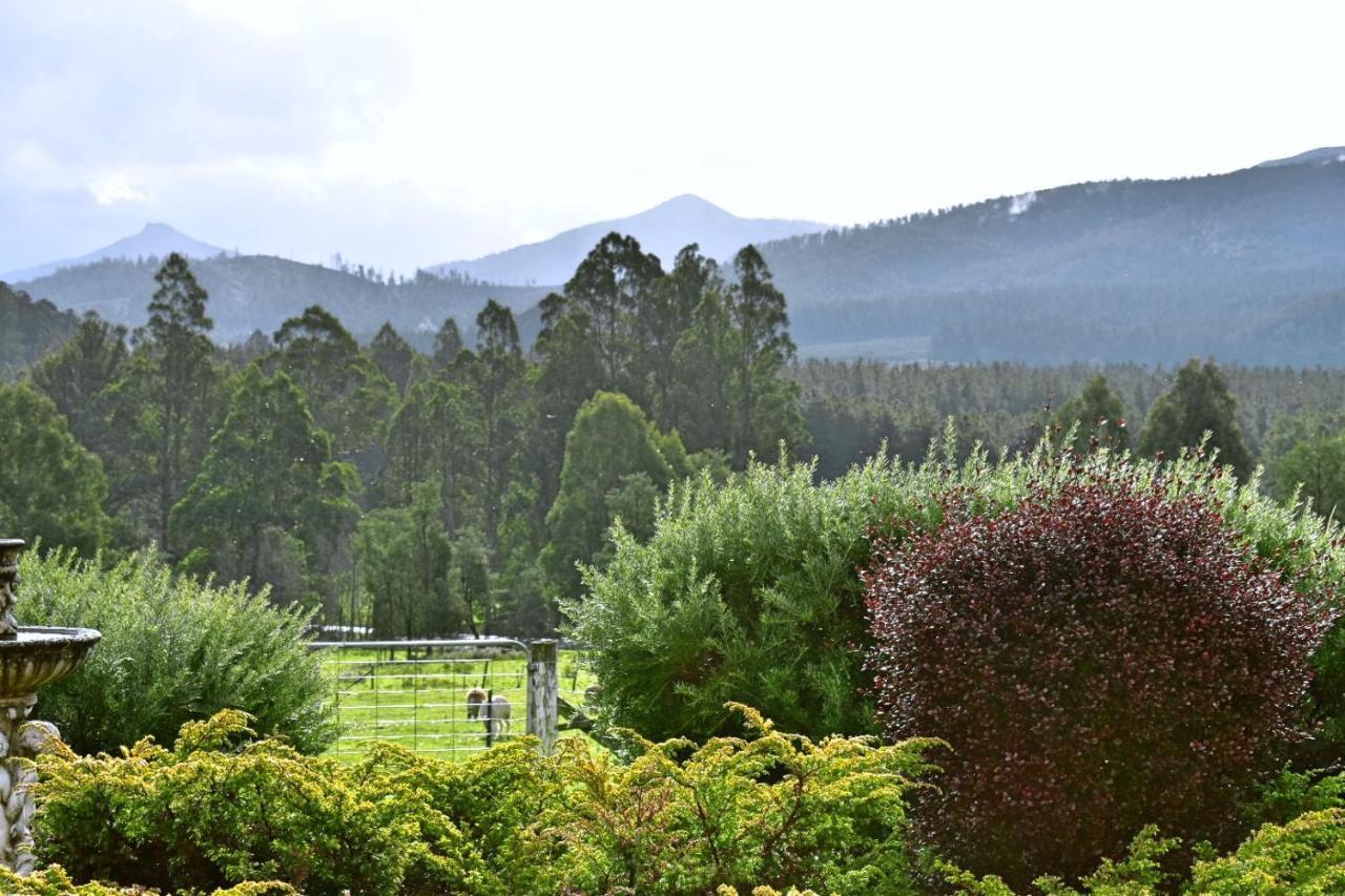 Maydena Mountain Cabins Bagian luar foto